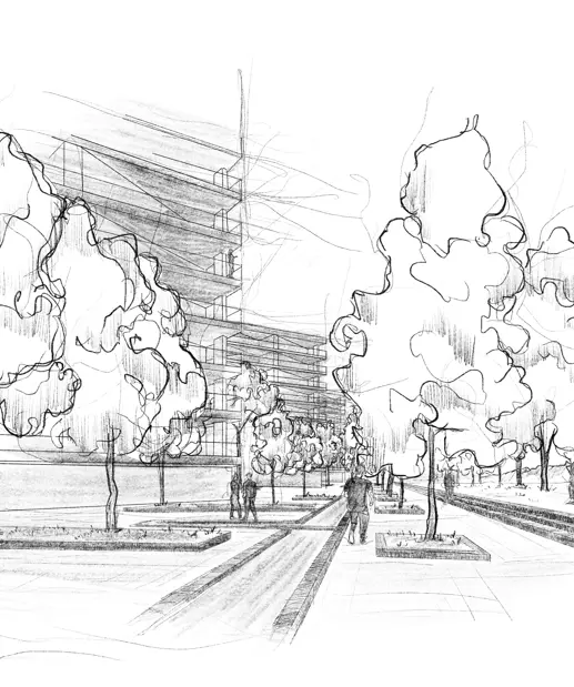 Sketch 03 No Flag